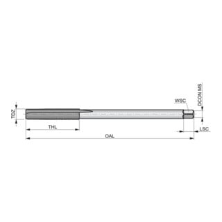 Dormer Taraud HSS-E M14 DIN 357 6H 2xD brut