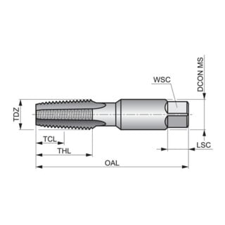 Dormer Taraud HSS NPT ANSI B94.9 1/2" TiN 1,5xP C