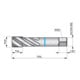 Dormer Taraud HSSE-PM BSP DIN5156 1" vaporisé bleu 2xD