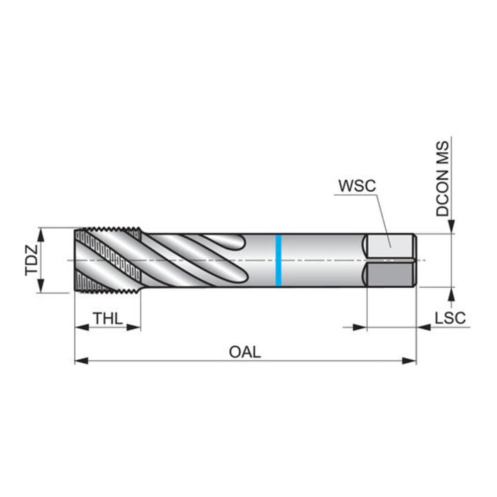 Dormer Taraud HSSE-PM BSP DIN5156 1" vaporisé bleu 2xD