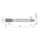 Dormer Taraud HSSE-PM M22 DIN 376 6H C 1,5xD brut