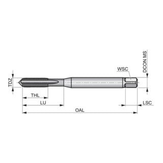 Dormer Taraud HSSE-PM UNC12-24 DIN371 1,5xD brut C 2B