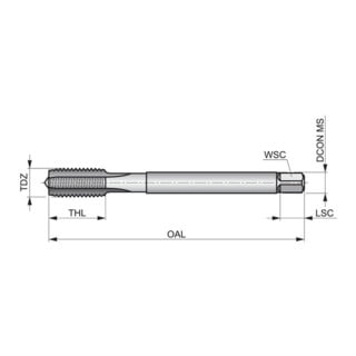 Dormer Taraud M20 DIN 376 HSSE-PM 1,5xP brut 6H
