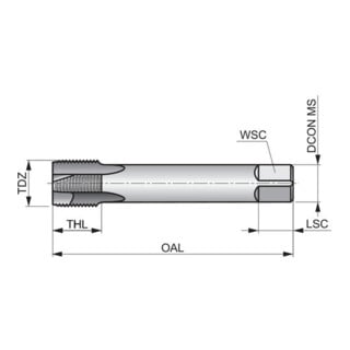 Dormer Taraud machine DIN5156 2,5xD B DL