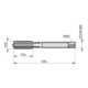 Dormer Tarauds BSP DIN5157 2 pièces 1,5xD G1.1/2" HSS brut