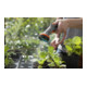 Douchette Comfort GARDENA pour plantes sensibles-4