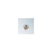 Clé à douille HAZET insert de clé hexagonale 1/4".-5