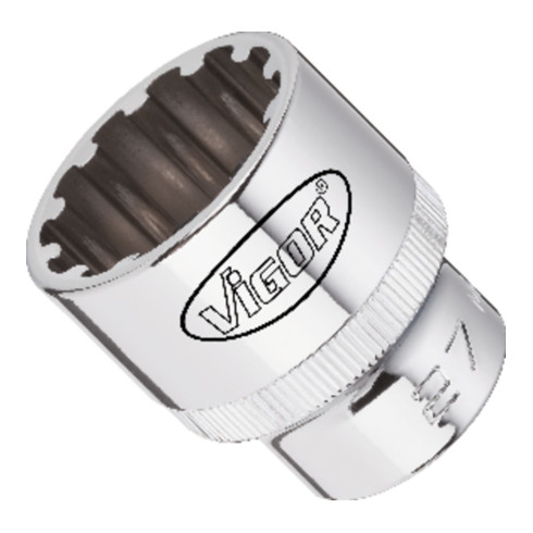 VIGOR 1/4"' Clé à douilles multi-profils Insert multi-profils Multi-profils