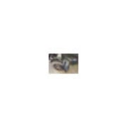 Douille mâle 986LG-11 ∙ Carré creux 12,5 mm (1/2 pouce) ∙ Profil à 6 pans intérieurs ∙ 11 HAZET-2