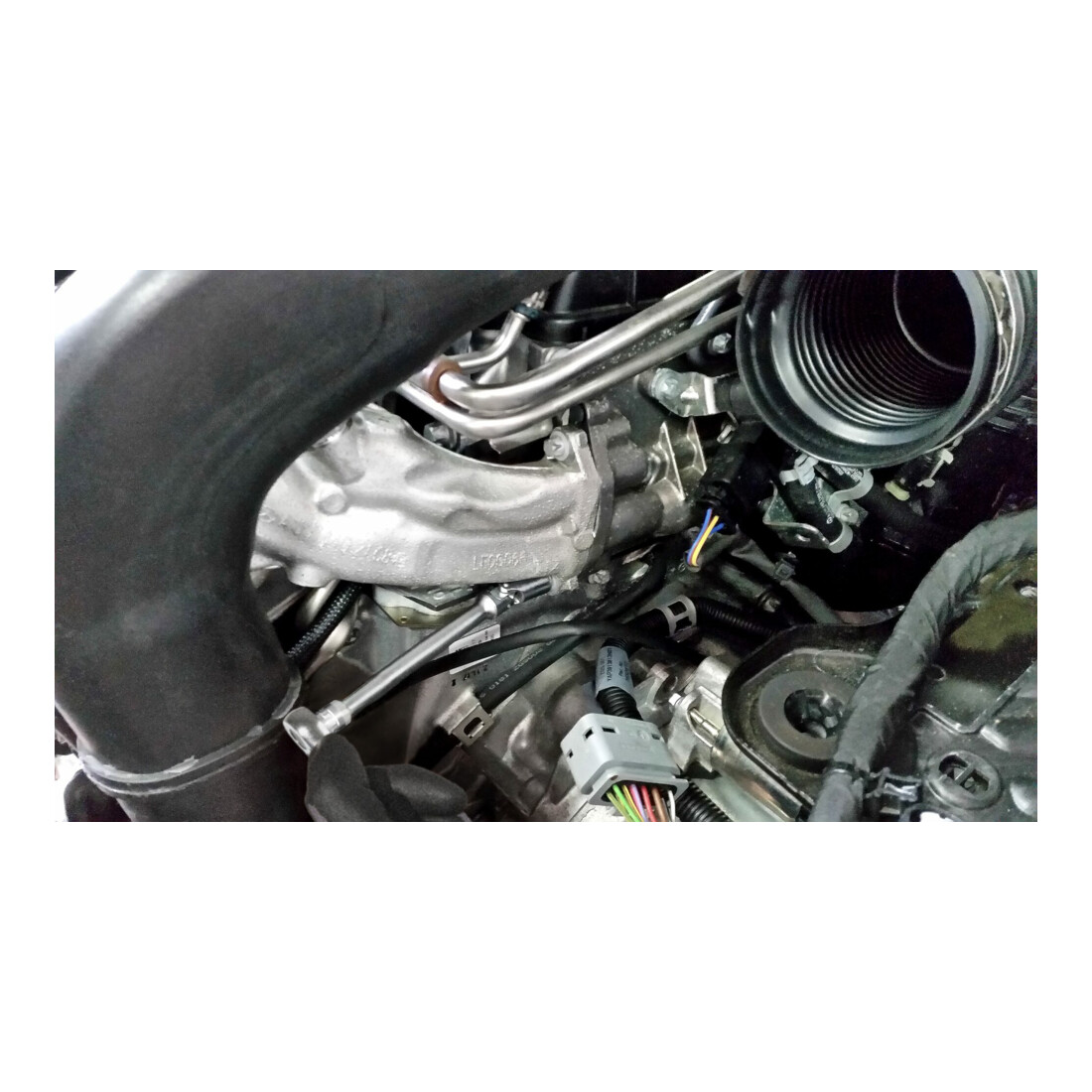 Douille TX 850LG-GE10 HAZET