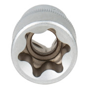 STIER clé à douille TX externe insert 1/2" 1/2-3