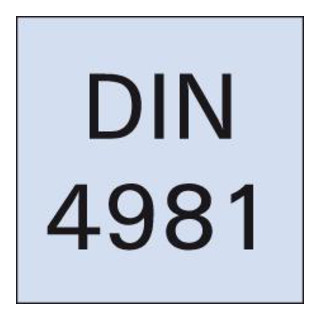 Drehmeissel HM DIN4981 L.20x12x125mm K10/20 FORMAT