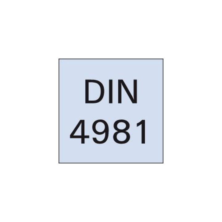 Drehmeissel HM DIN4981 L.20x12x125mm K10/20 FORMAT