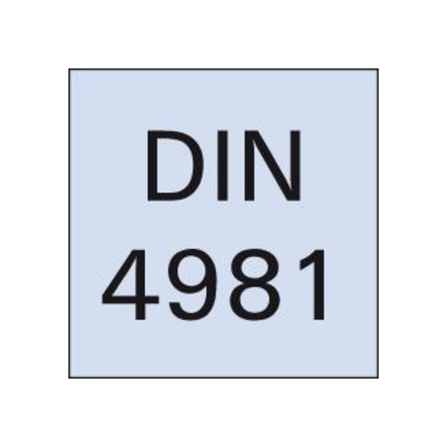 Drehmeissel HM DIN4981 R.12x 8x100mm K10/20 FORMAT