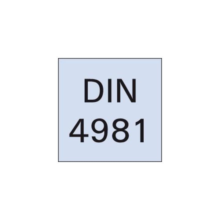 Drehmeissel HM DIN4981 R.16x10x110mm P25/30