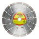 DT 900 B Disques à tronç. Diamanté Klingspor 125 x 2,4 x 22,23 mm 9 segments 33 x 2,4 x 12 mm, denture standard
