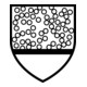 DuPont Schutzoverall Tychem® F grau Kat.III-4