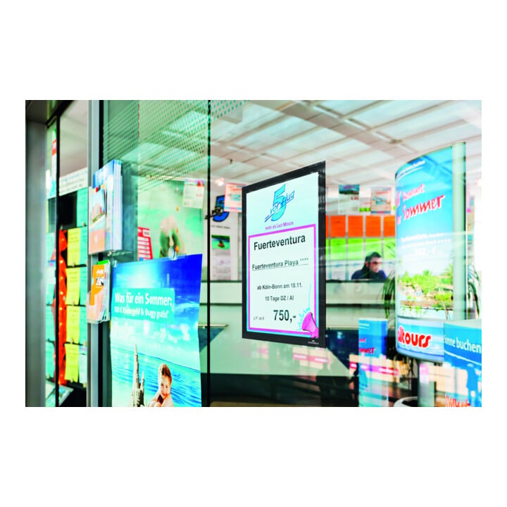 DURABLE Cadre d’information DURAFRAME® A4 10 pièces argenté