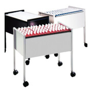 Durable Hängemappenwagen Economy DUO 100 metallic silber-4