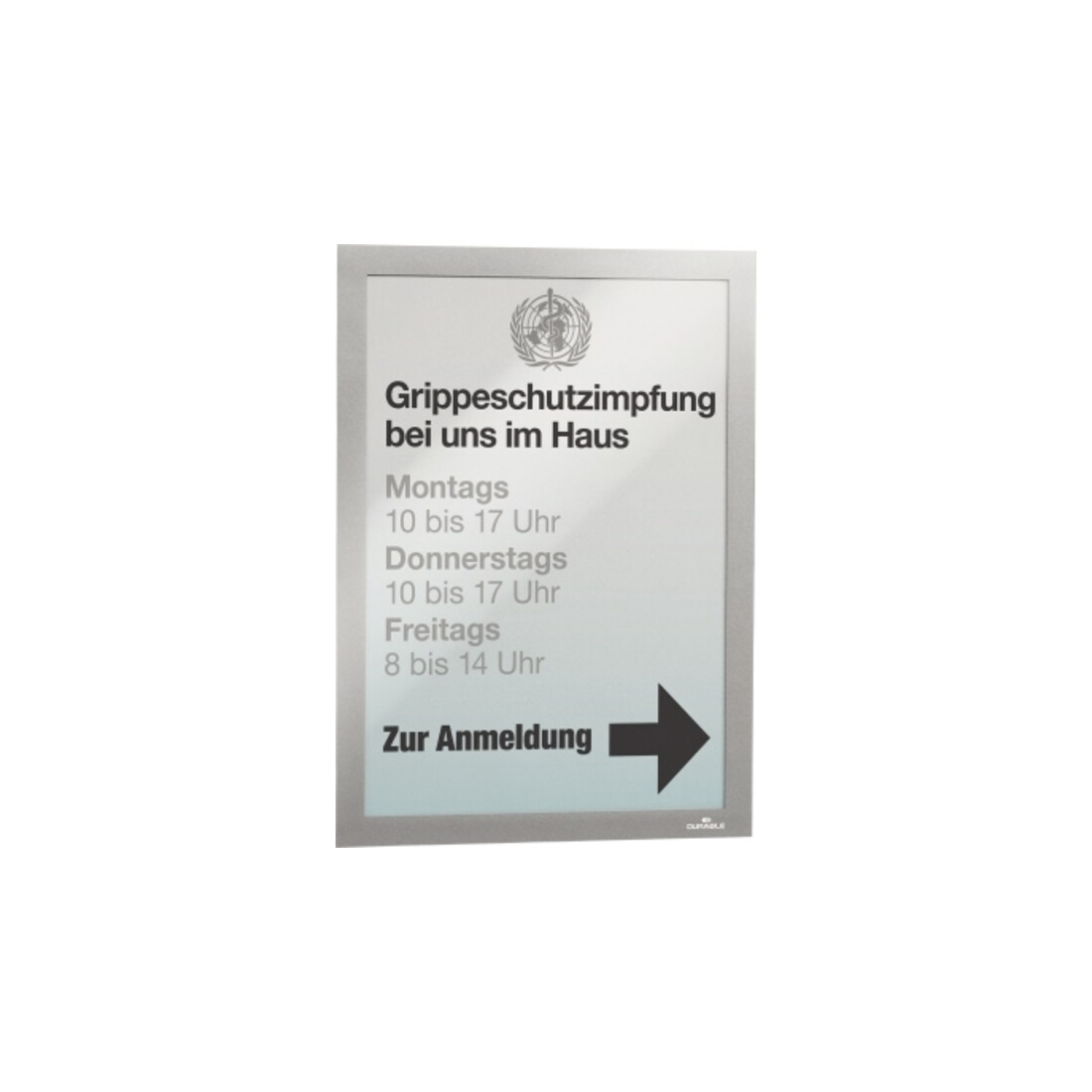 Durable Magnetrahmen DURAFRAME A4 Silber