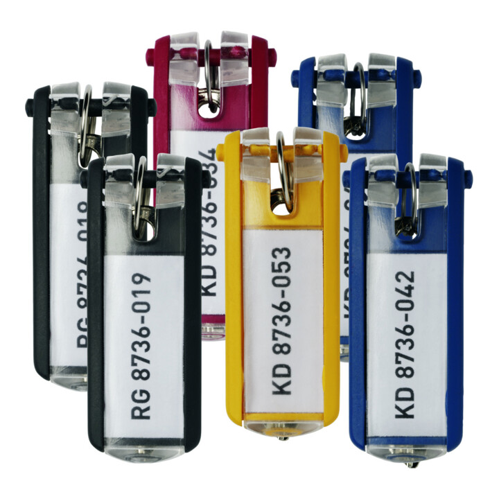 DURABLE Schlüsselanhänger KEY CLIP 24 St. mehrfarbig