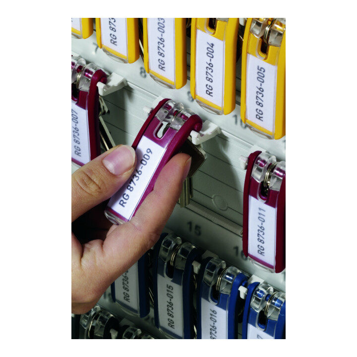 DURABLE Schlüsselanhänger KEY CLIP 24 St. mehrfarbig