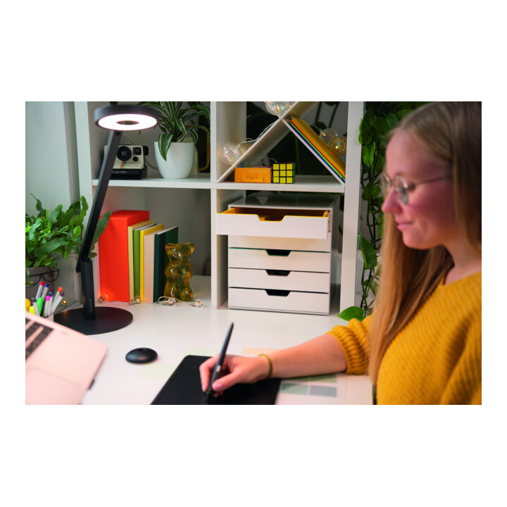 Durable Schubladenbox VARICOLOR® MIX 5