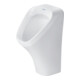 Duravit Absaug-Urinal DuraStyle 30x34cm, Zul. v hi., riml., o. Fl, weiß-1