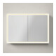 Duravit Armoire miroir L-Cube 100x70x15,5cm, blanc mat, avec éclairage lavabo