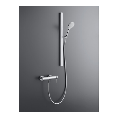 Duravit Barre de douche 810 mm, aluminium/plastique/verre, blanche g