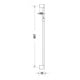 Duravit Barre de douche à MS/plastique, 900 mm, ES brossé