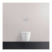 Duravit Betätigungsplatte DuraSystem aufgeset., mech., f WC Bet 100, ch hgl-5