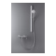 Duravit Brausestange 810mm, a Aluminium/Kunststoff/Glas, w g-2