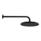 Duravit Douche de tête 1jet 250 d 250 mm, raccord G 1/2, noir mat