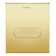 Duravit Plaque de commande DuraSystem 13,1x15 cm, mécanique, pour Uri A1, or poli-1
