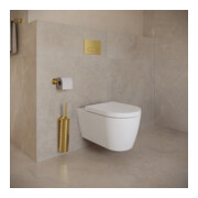 Duravit Plaque de commande DuraSystem 21,7x10cm, méc., pour WC A1, or poli-2
