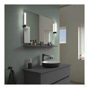 Duravit Spiegel-Ablage Sivida 105x65x3,6cm, graph ma, mont., sw-2