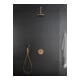 Duravit Wandanschlussbogen DN 15, m Brauseha., Ros. rd, bron geb.-5