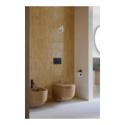 Duravit WC-Sitz Balcoon Compact 37x54 cm, abattant, avec abaissement, Clay ter ma-4