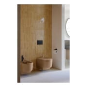 Duravit WC-Sitz Balcoon Compact 37x54cm, abn., m Absenkaut., Clay ter ma-4