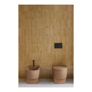 Duravit WC-Sitz Balcoon Überlappend, abn., m Abs, Clay ter ma-5