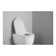 Duravit WC-Sitz D-shaped m Abs, abn., 43,2cm, Uni, Scha. ES, we.-2