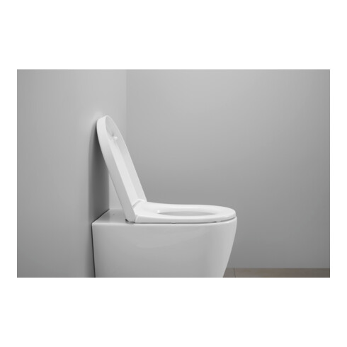 Duravit WC-Sitz D-shaped m Abs, abn., 43,2cm, Uni, Scha. ES, we.