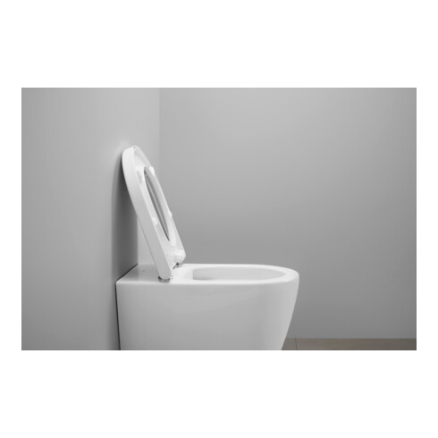 Duravit WC-Sitz D-shaped m Abs, abn., 43,2cm, Uni, Scha. ES, we.