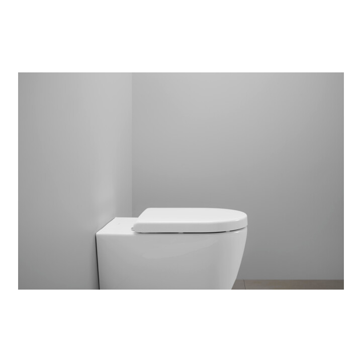 Duravit WC-Sitz D-shaped m Abs, abn., 43,2cm, Uni, Scha. ES, we.