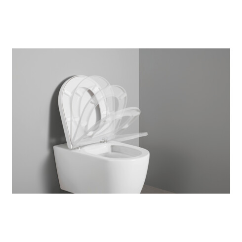 Duravit WC-Sitz D-shaped m Abs, abn., 43,2cm, Uni, Scha. ES, we.
