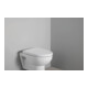 Duravit WC-Sitz D-shaped m Abs, abn., 45,7cm, Uni, Scha. ES, we.-2