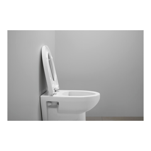 Duravit WC-Sitz D-shaped m Abs, abn., 45,7cm, Uni, Scha. ES, we.