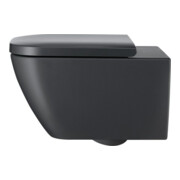 Duravit WC-Sitz Happy D.2 abn., Scharn. ES, m Absenkaut., anthr. m