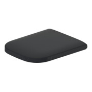 Duravit WC-Sitz Happy D.2 abn., Scharn. ES, m Absenkaut., anthr. m-3